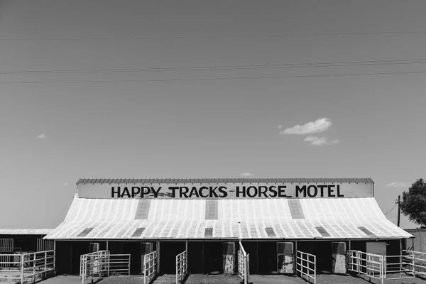 Canvas Print: Horse Motel by Bethany Young