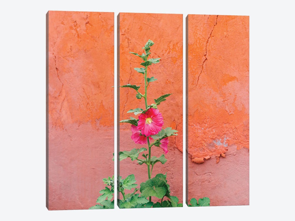 Santa Fe Flowers II by Bethany Young 3-piece Canvas Print
