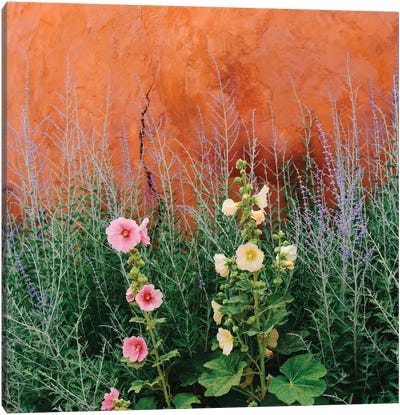 Santa Fe Flowers Canvas Art Print - New Mexico