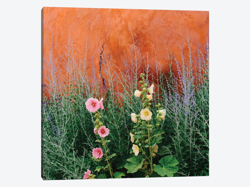 Santa Fe Flowers by Bethany Young 1-piece Canvas Art Print