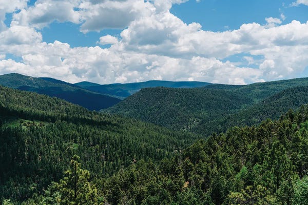 Taos: The High Road to Taos II by Bethany Young