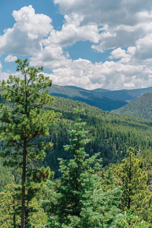 The High Road to Taos III by Bethany Young wall art