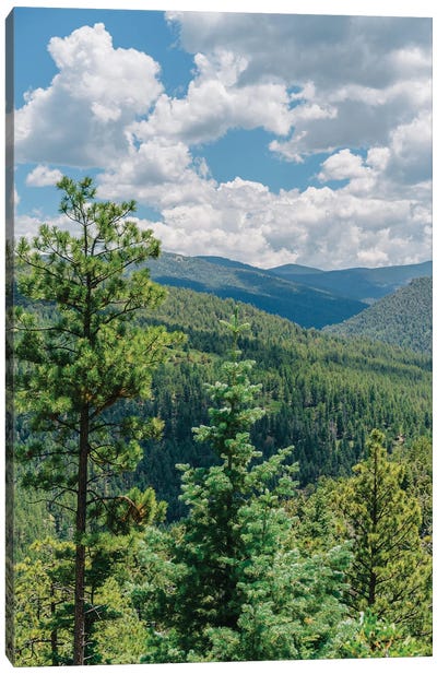 The High Road to Taos III Canvas Art Print - New Mexico