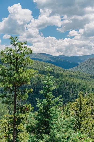 New Mexico: The High Road to Taos III by Bethany Young