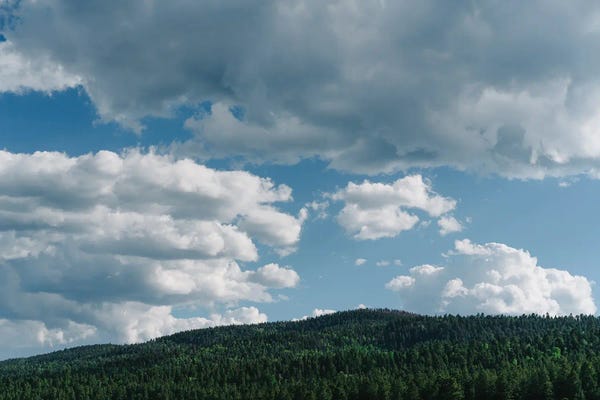 New Mexico: Enchanted Circle Scenic Byway III by Bethany Young