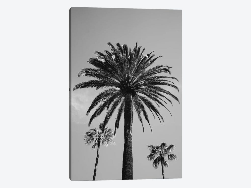 Beverly Hills Sky III by Bethany Young 1-piece Canvas Artwork