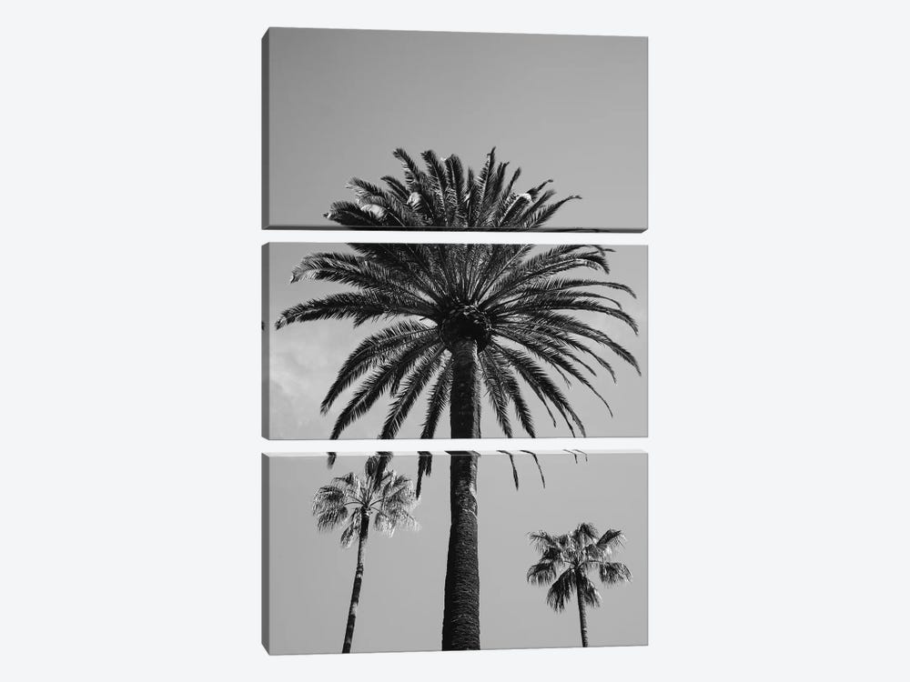 Beverly Hills Sky III by Bethany Young 3-piece Canvas Wall Art