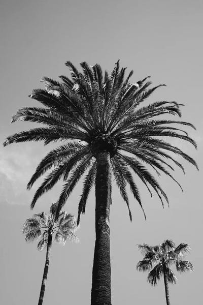 Beverly Hills: Beverly Hills Sky III by Bethany Young