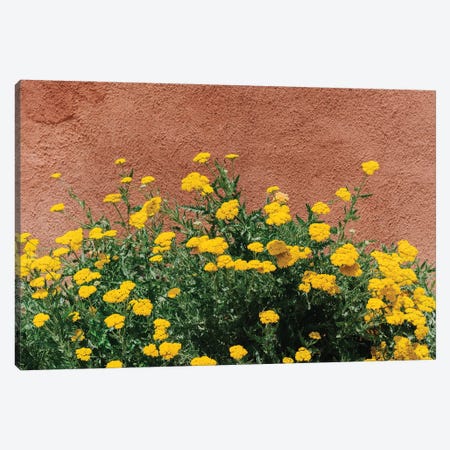 New Mexico Blooms Canvas Print #BTY1500} by Bethany Young Canvas Art