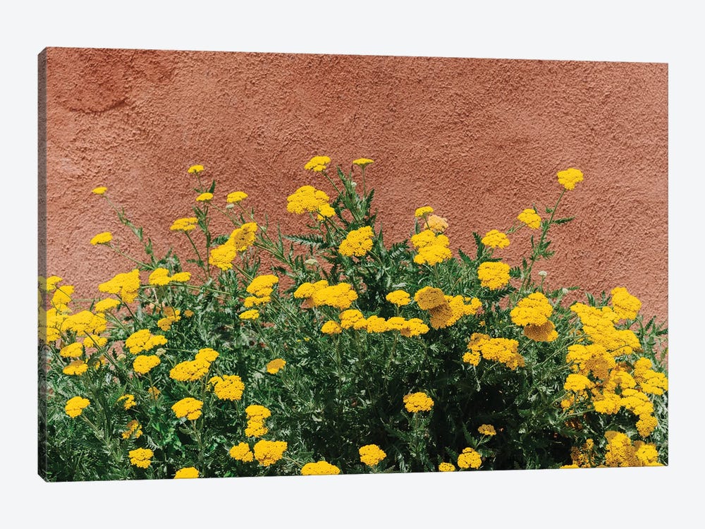 New Mexico Blooms by Bethany Young 1-piece Canvas Print