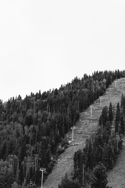 New Mexico: Taos Ski Valley by Bethany Young