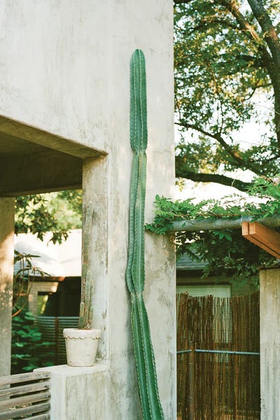 Austin Texas by Bethany Young framed wall art