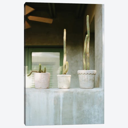 Cactus Porch Canvas Print #BTY1521} by Bethany Young Canvas Art