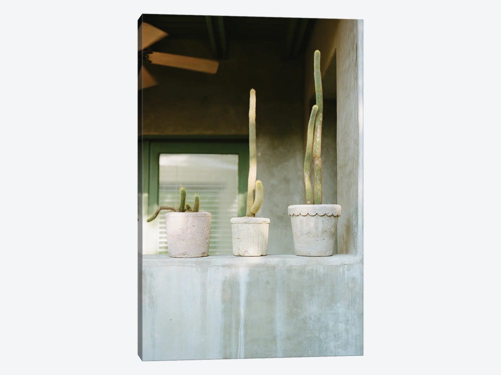 Cactus Porch by Bethany Young 1-piece Canvas Wall Art