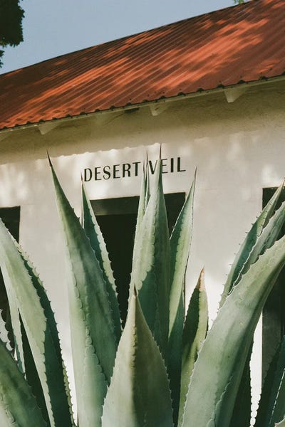 Desert Veil by Bethany Young framed wall art