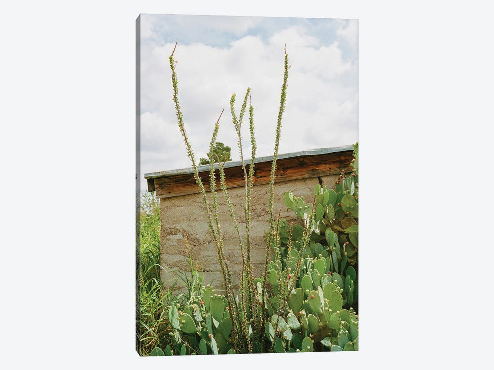Marfa Texas IX by Bethany Young 1-piece Canvas Print
