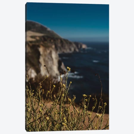 Big Sur Wild Flowers II Canvas Print #BTY15} by Bethany Young Canvas Artwork