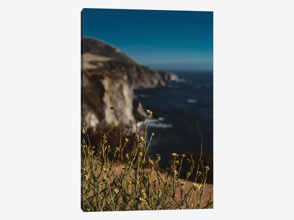 Big Sur Wild Flowers II by Bethany Young 1-piece Art Print
