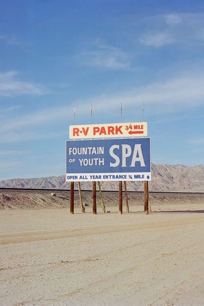 Signs: Fountain Of Youth by Bethany Young