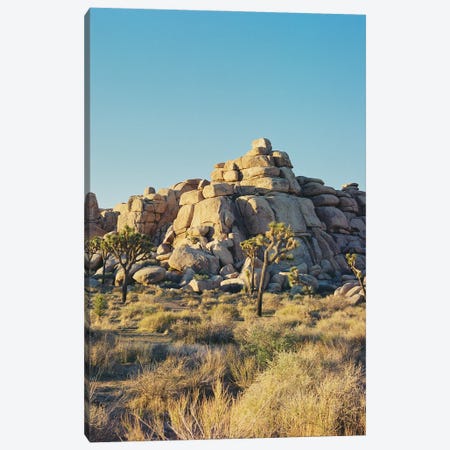 Joshua Tree Sunset III Canvas Print #BTY1608} by Bethany Young Art Print