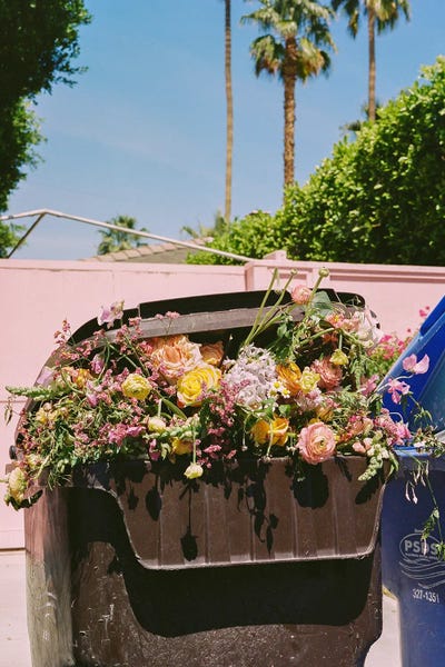 Palm Springs: Palm Springs Curb by Bethany Young