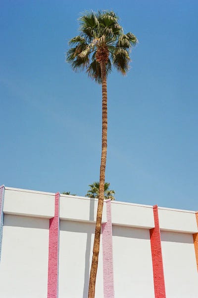 Palm Springs by Bethany Young framed wall art