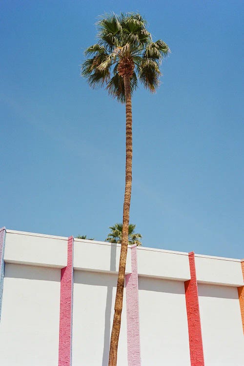 Palm Springs by Bethany Young wall art