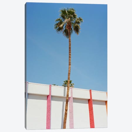 Palm Springs Canvas Print #BTY1613} by Bethany Young Canvas Art