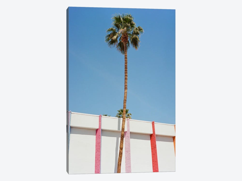 Palm Springs by Bethany Young 1-piece Canvas Print