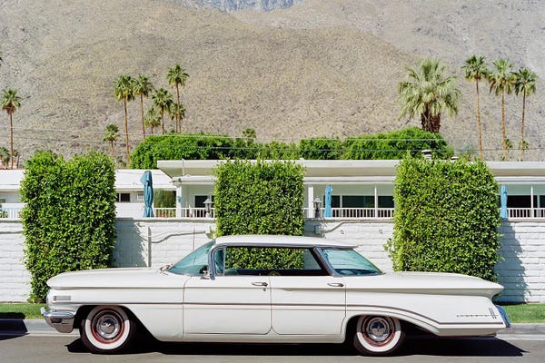 Palm Springs: Palm Springs Ride XX by Bethany Young