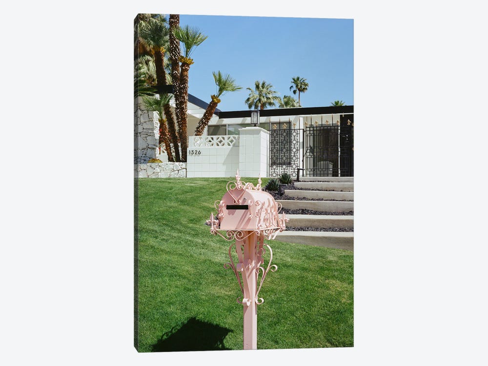 Pink Palm Springs II by Bethany Young 1-piece Canvas Art Print