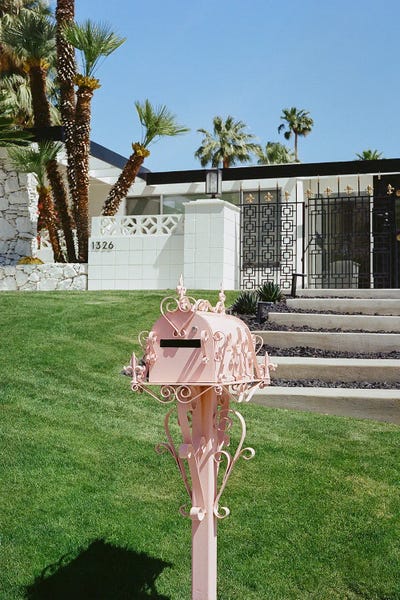 Palm Springs: Pink Palm Springs II by Bethany Young