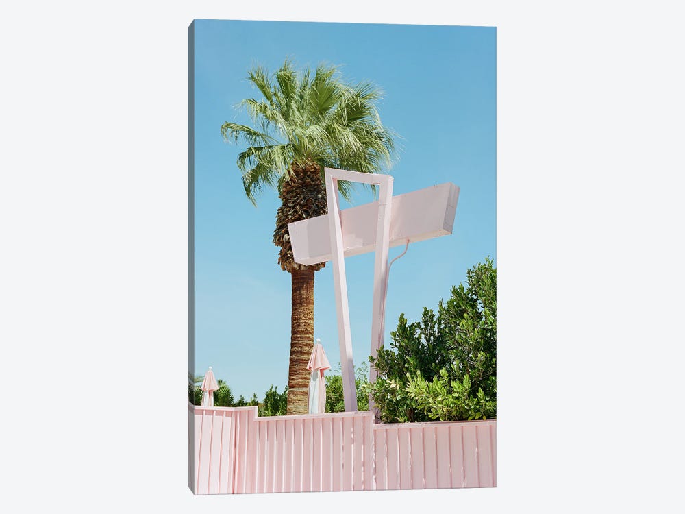 Pink Palm Springs III by Bethany Young 1-piece Canvas Artwork