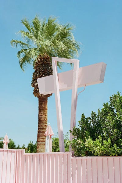 Palm Springs: Pink Palm Springs III by Bethany Young