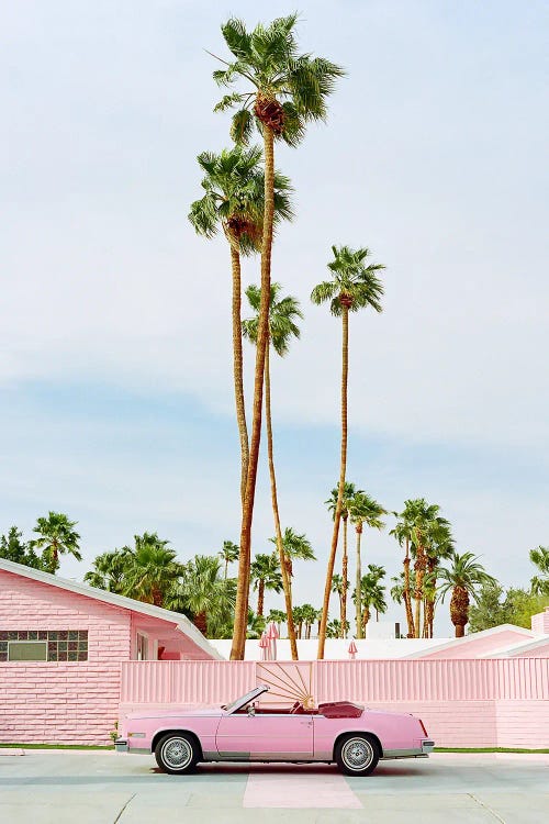 Pink Palm Springs by Bethany Young wall art