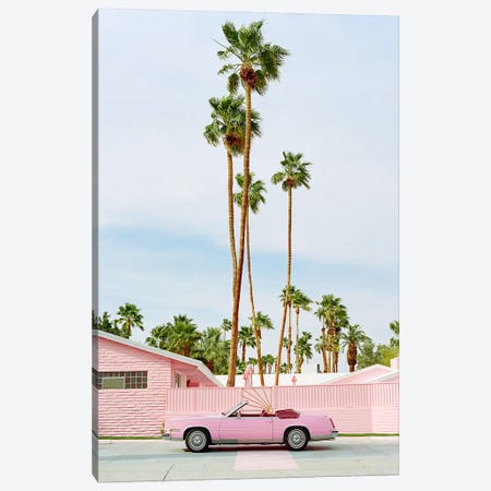Pink Palm Springs Canvas Print #BTY1617} by Bethany Young Art Print