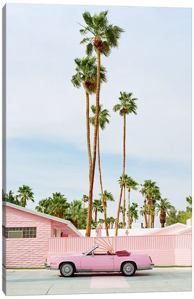 Pink Palm Springs Canvas Art Print - Palm Tree Art