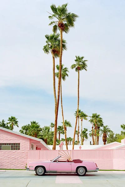 Palm Springs: Pink Palm Springs by Bethany Young