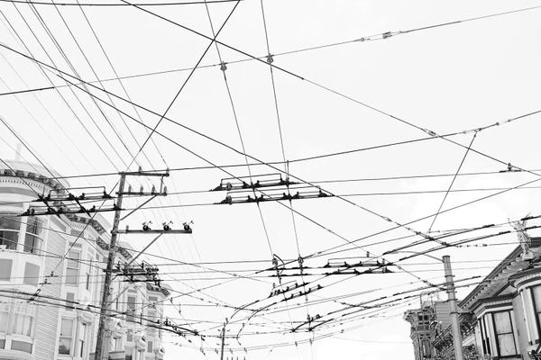 Trains: San Francisco XIX by Bethany Young