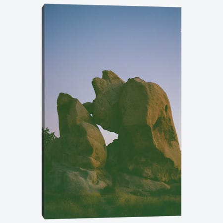 Joshua Tree Moon VI On Film Canvas Print #BTY1627} by Bethany Young Canvas Wall Art