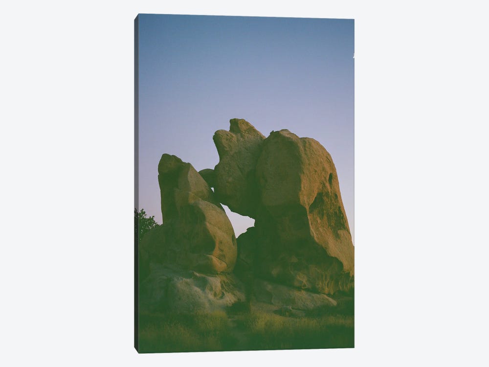 Joshua Tree Moon VI On Film by Bethany Young 1-piece Canvas Art