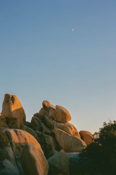 Joshua Tree Moon X On Film by Bethany Young framed canvas print