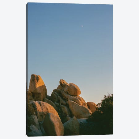 Joshua Tree Moon X On Film Canvas Print #BTY1630} by Bethany Young Canvas Art