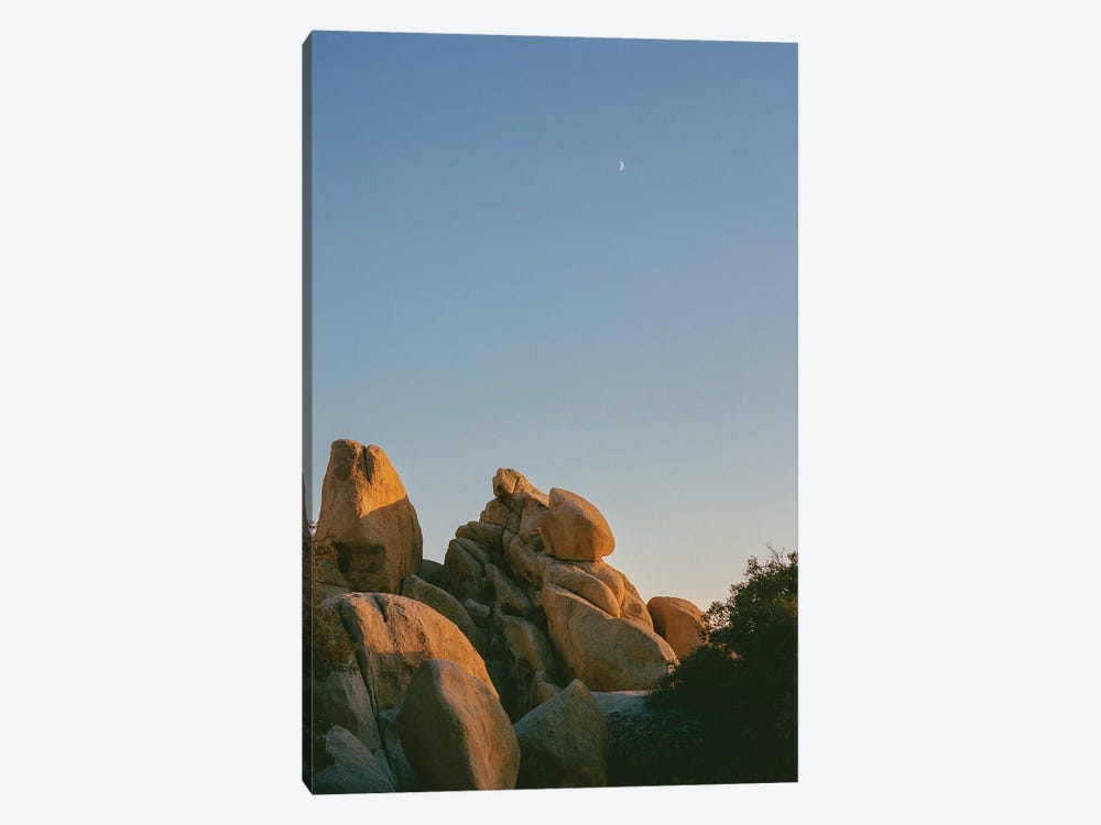 Joshua Tree Moon X On Film by Bethany Young 1-piece Canvas Art