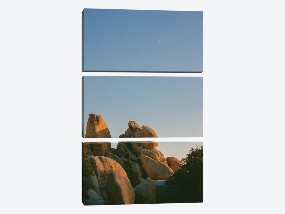Joshua Tree Moon X On Film by Bethany Young 3-piece Canvas Art