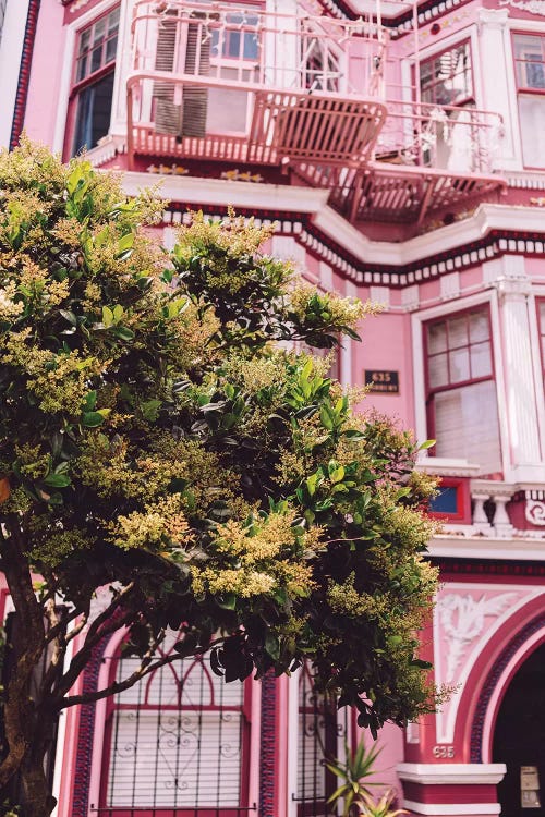 San Francisco Pink II