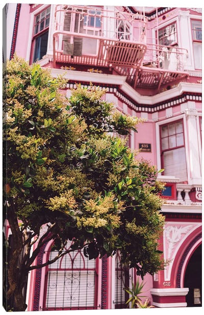 San Francisco Pink II Canvas Art Print - Janis Joplin
