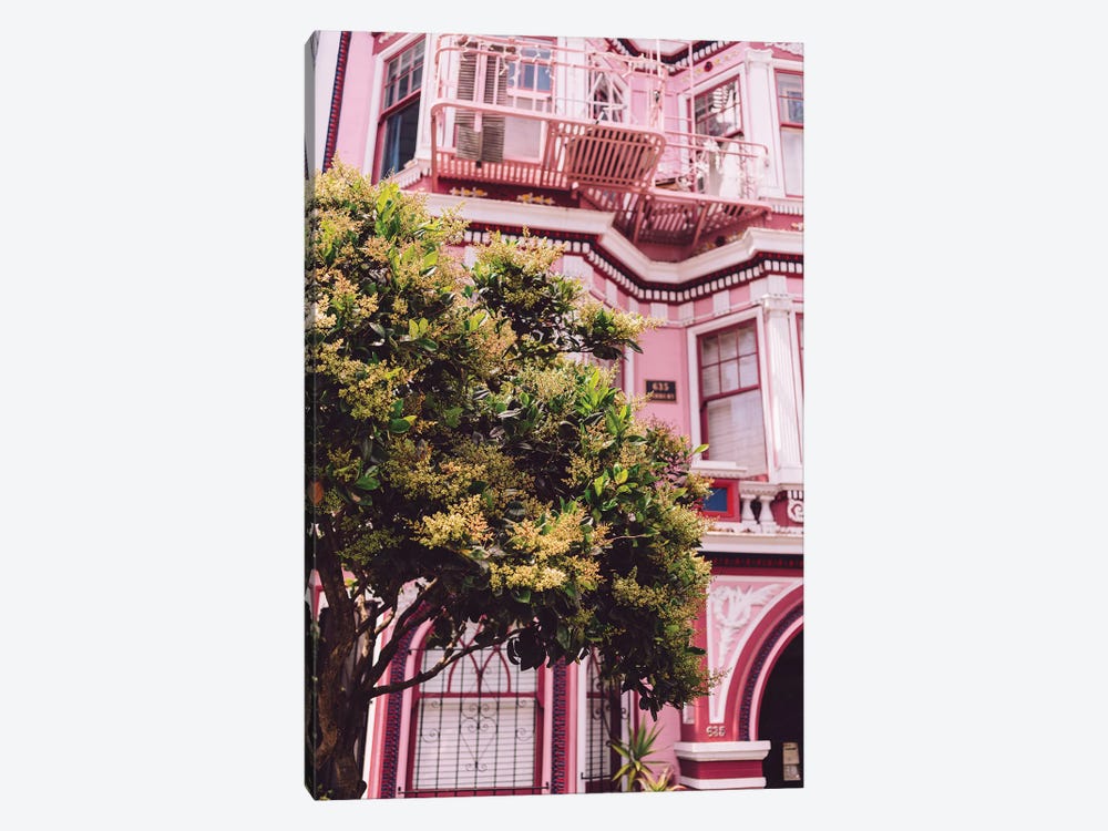 San Francisco Pink II by Bethany Young 1-piece Canvas Art
