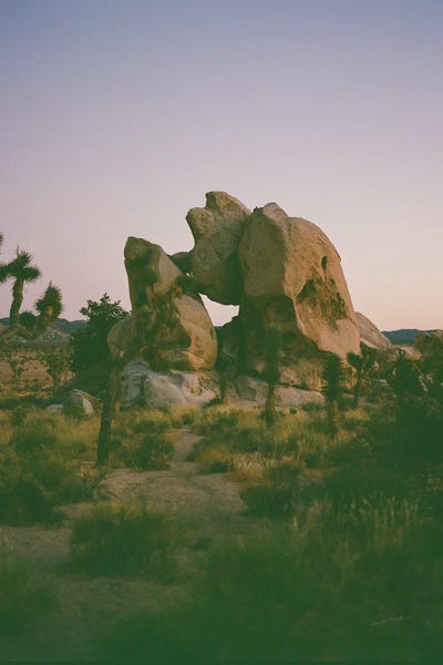 Joshua Tree Twilight On Film by Bethany Young framed canvas print