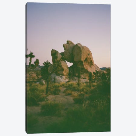 Joshua Tree Twilight On Film Canvas Print #BTY1640} by Bethany Young Canvas Print